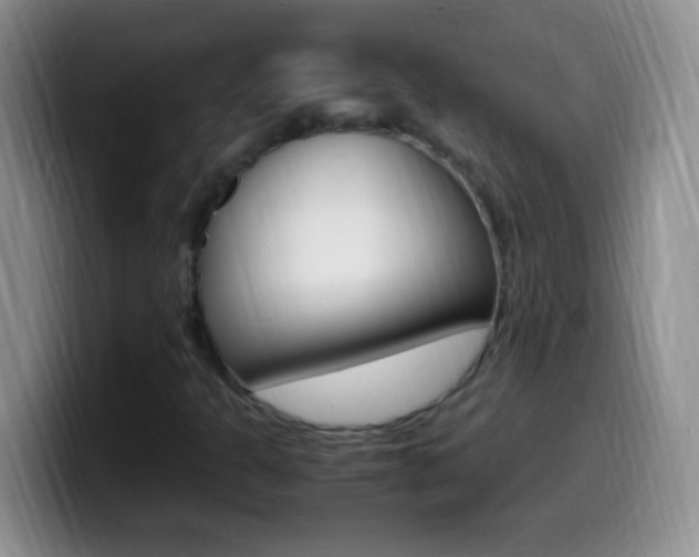 X0000099991301200805231035