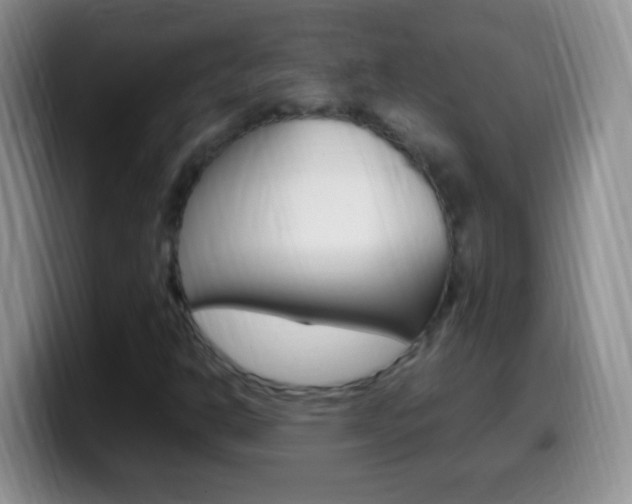 X0000099991302200805231035