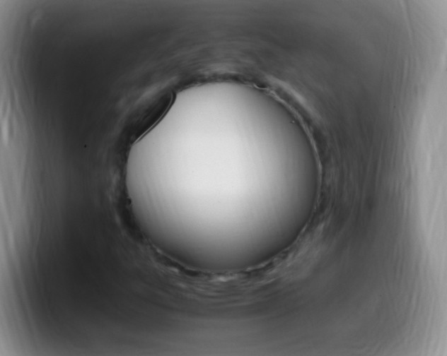 X0000099991303200805231035