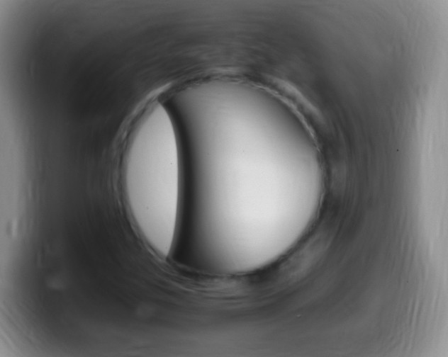 X0000099991307200805231035