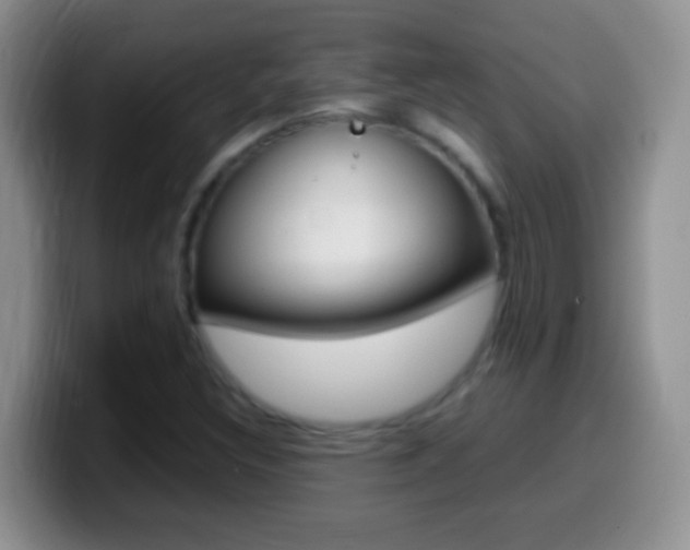 X0000099991308200805231035
