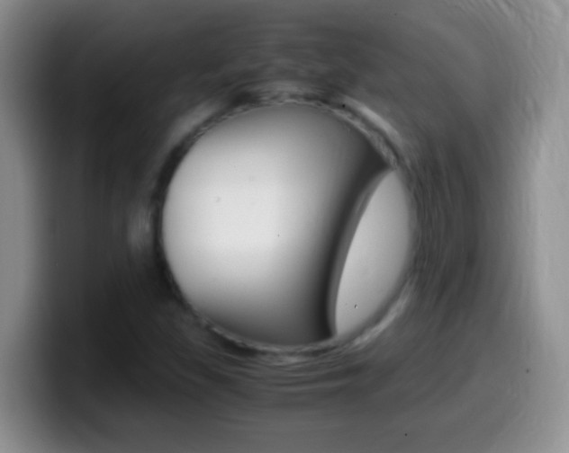 X0000099991309200805231035