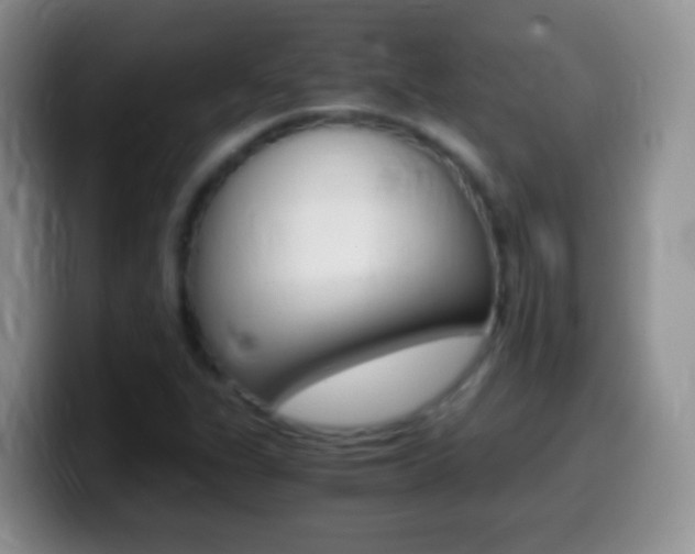 X0000099991311200805231036