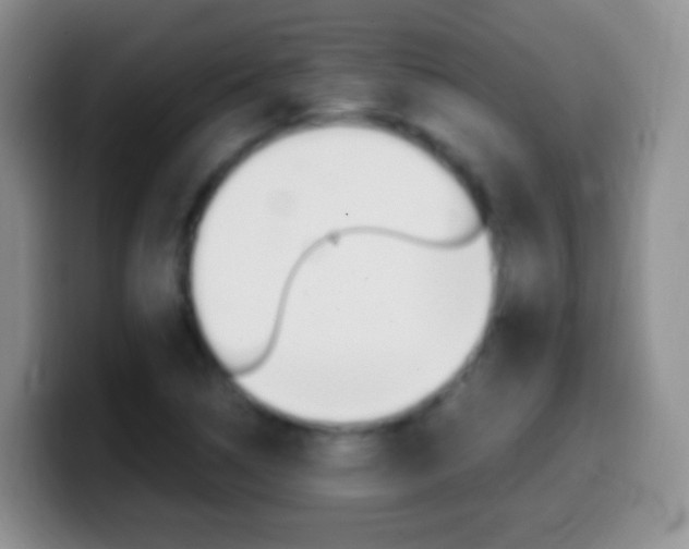 X0000099991314200805231036