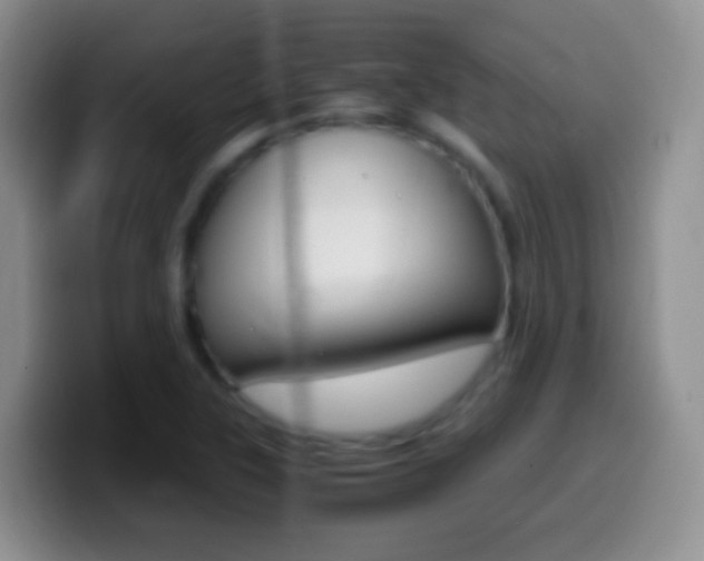 X0000099991315200805231036