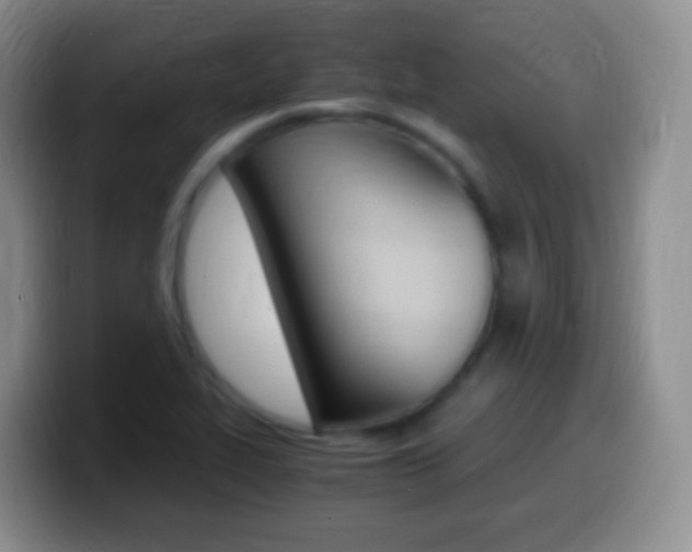 X0000099991319200805231036