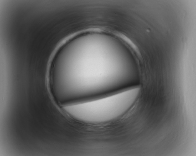 X0000099991327200805231036