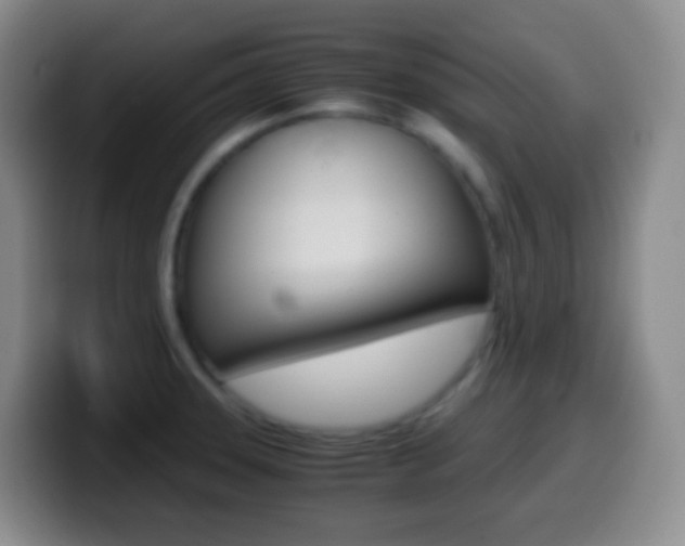 X0000099991331200805231036