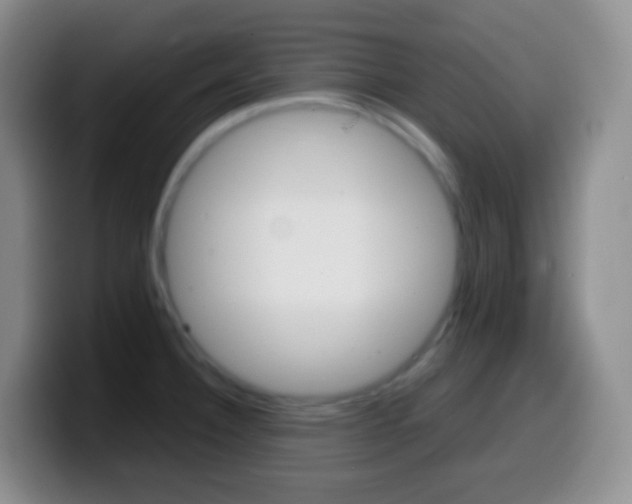 X0000099991332200805231036