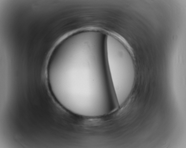 X0000099991335200805231036