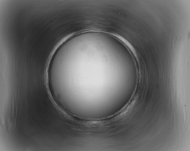 X0000099991341200805231036