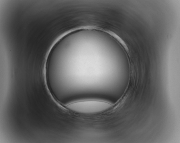 X0000099991343200805231036