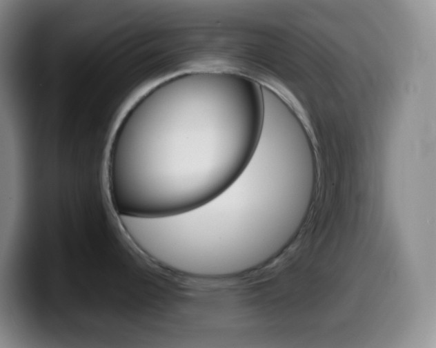 X0000099991344200805231036