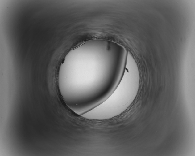 X0000099991345200805231035