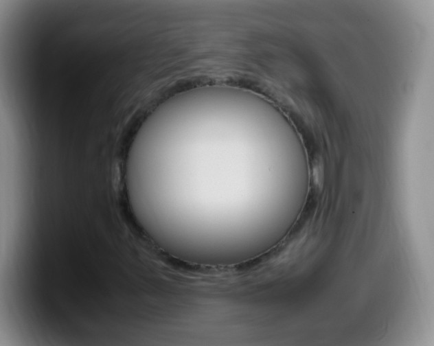 X0000099991347200805231035