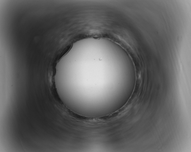 X0000099991348200805231035