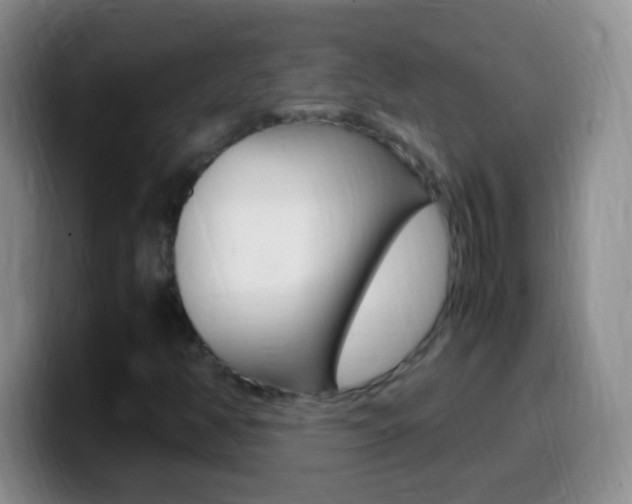 X0000099991350200805231035