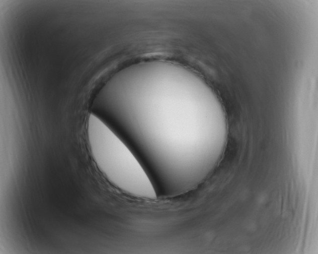 X0000099991351200805231035