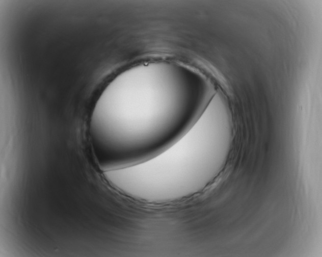 X0000099991352200805231035