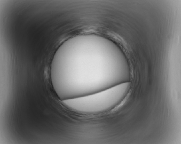 X0000099991353200805231035