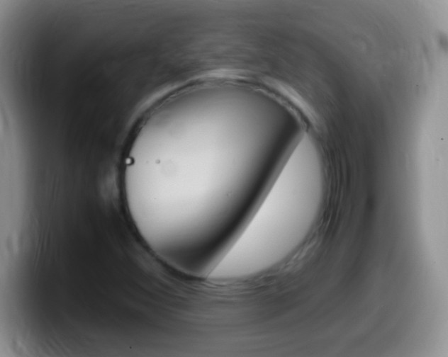 X0000099991356200805231035