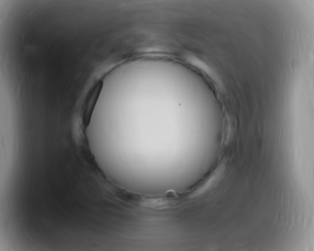 X0000099991357200805231035