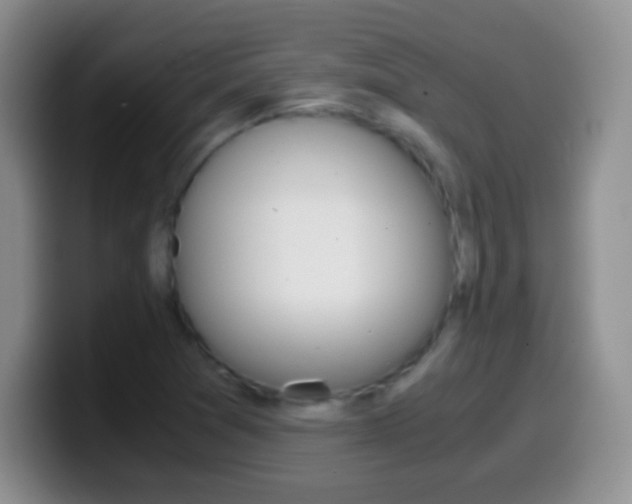 X0000099991361200805231035