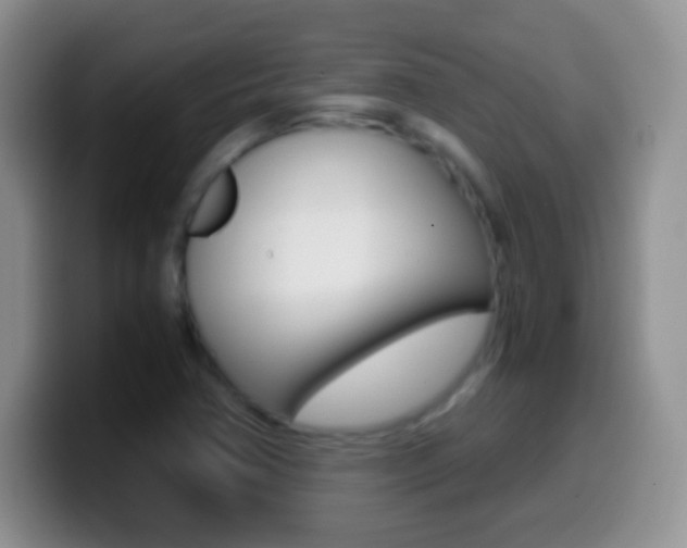 X0000099991362200805231035
