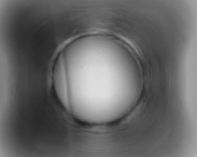 X0000099991363200805231035
