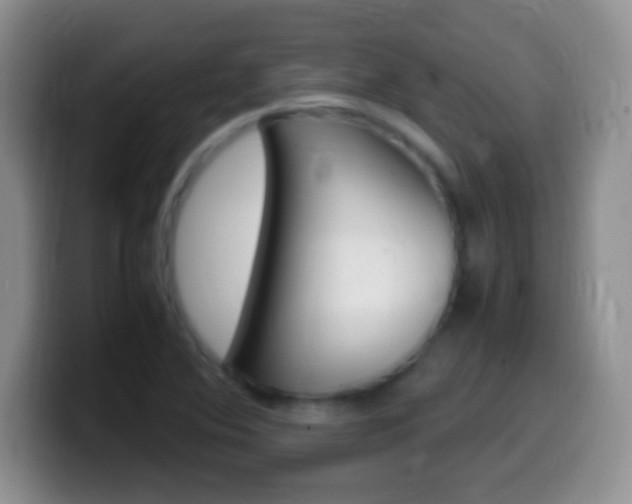 X0000099991364200805231035
