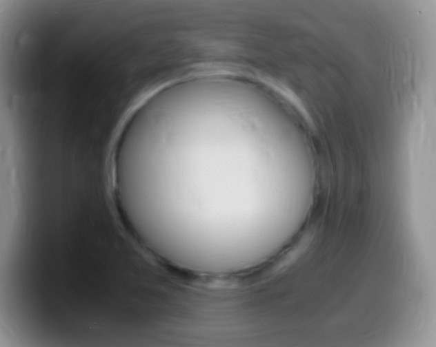 X0000099991365200805231035
