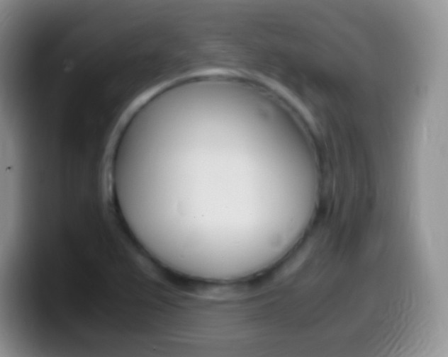 X0000099991367200805231035