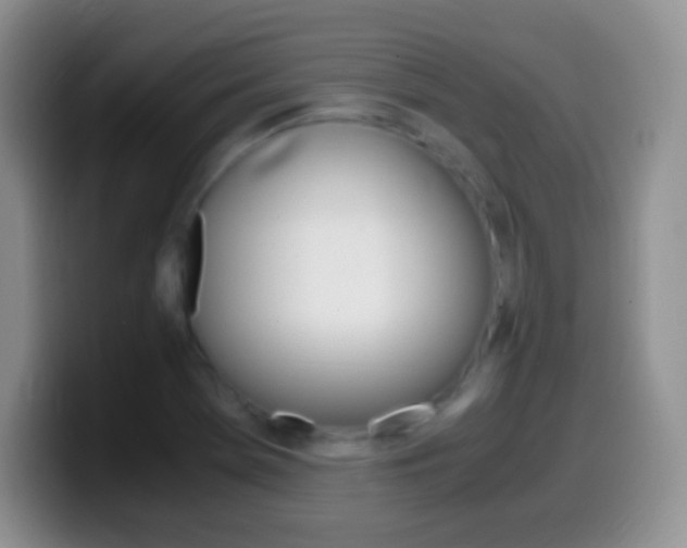 X0000099991369200805231035