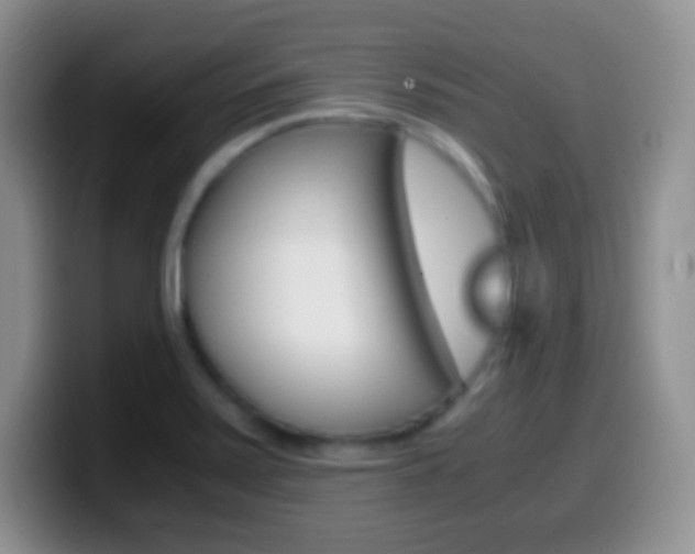 X0000099991371200805231035