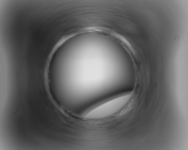 X0000099991373200805231035