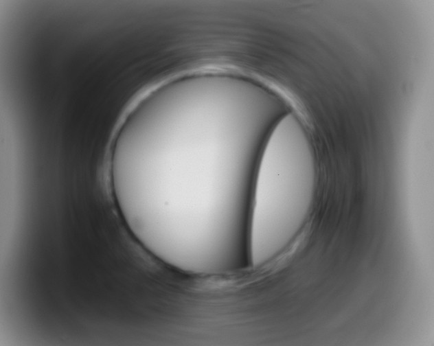 X0000099991374200805231035