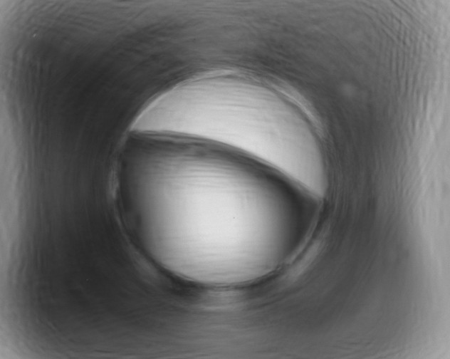X0000099991377200805231035