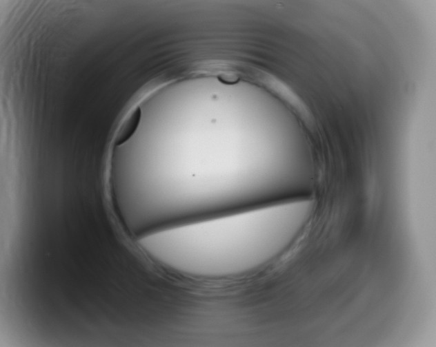 X0000099991378200805231035