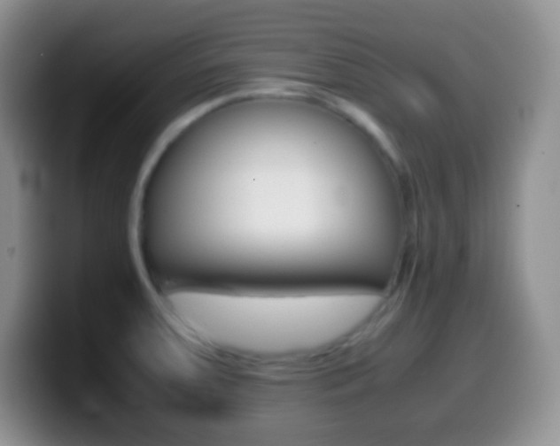 X0000099991379200805231035
