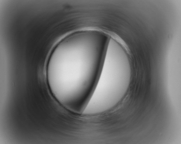 X0000099991380200805231035