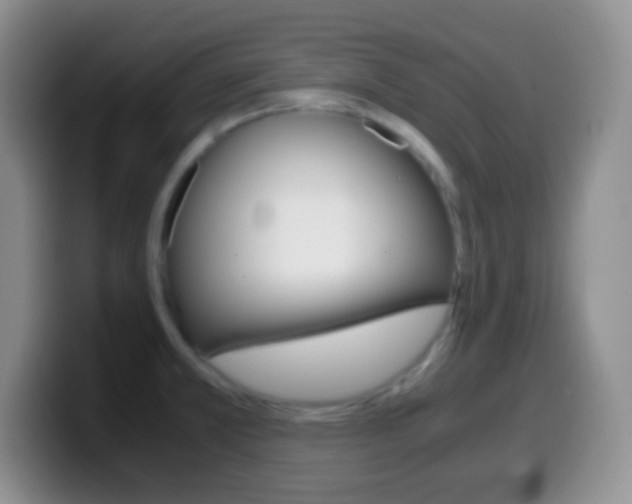 X0000099991381200805231035