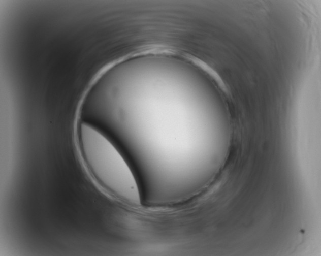 X0000099991383200805231035