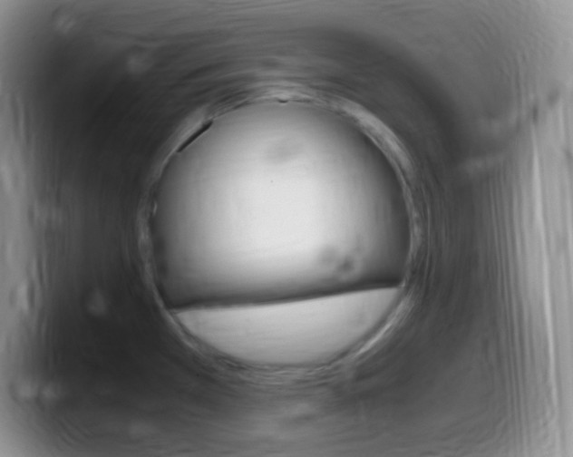 X0000099991385200805231035