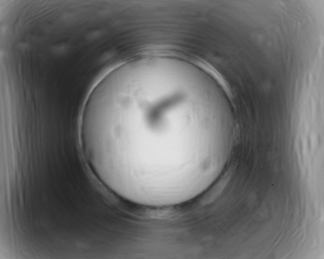 X0000099991386200805231035