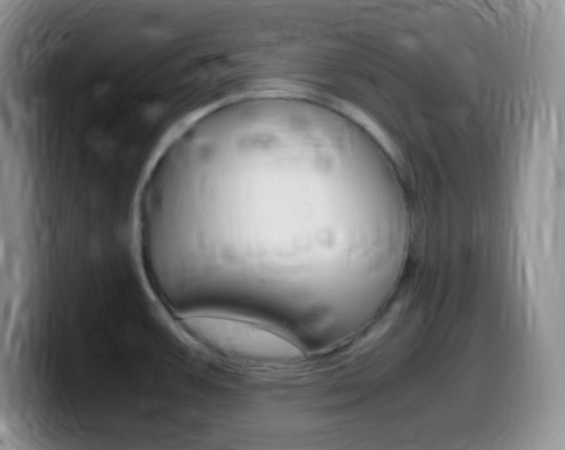 X0000099991387200805231035