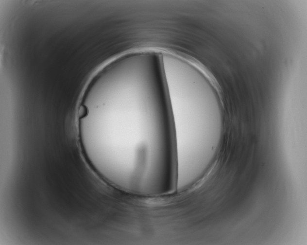X0000099991388200805231035