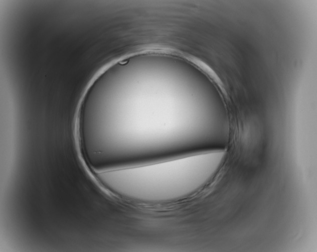 X0000099991391200805231035