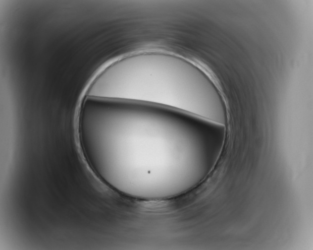 X0000099991392200805231035