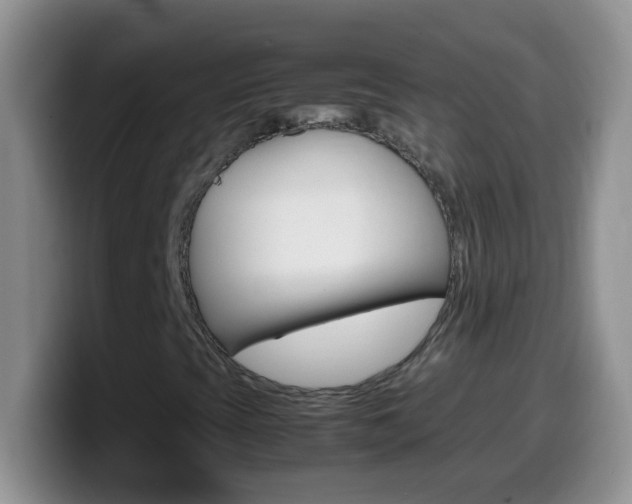 X0000099991393200805231034