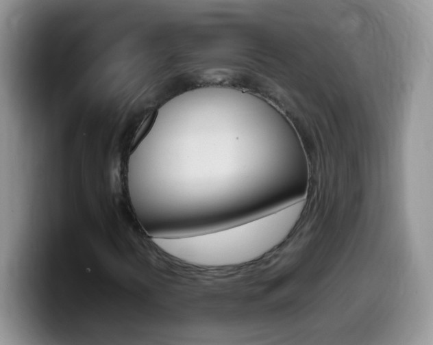 X0000099991394200805231034
